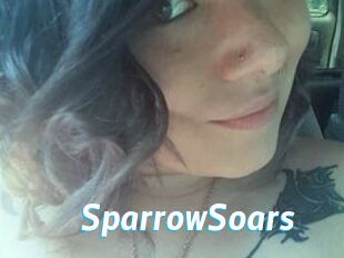 SparrowSoars