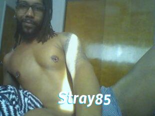 Stray85
