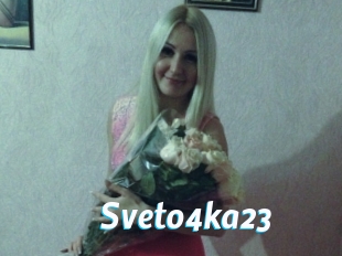 Sveto4ka23