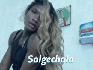 Salgechala