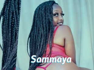 Sammaya