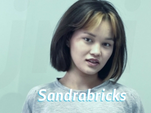 Sandrabricks