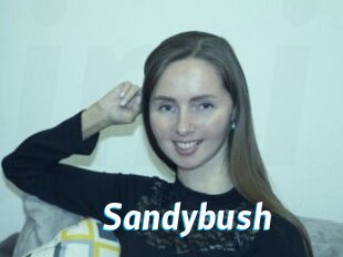 Sandybush