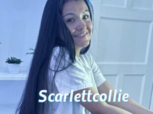 Scarlettcollie