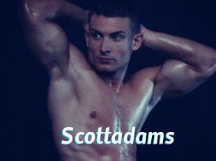Scottadams