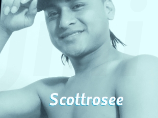 Scottrosee