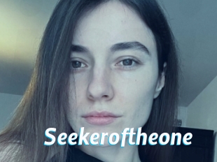 Seekeroftheone