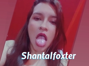 Shantalfoxter