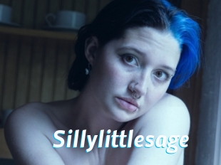 Sillylittlesage