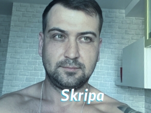 Skripa