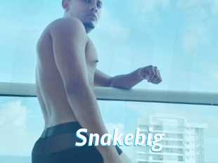 Snakebig