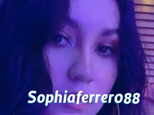 Sophiaferrer088