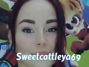 Sweetcattleya69