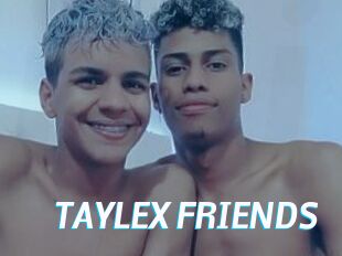 TAYLEX_FRIENDS