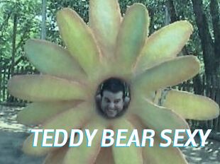 TEDDY_BEAR_SEXY