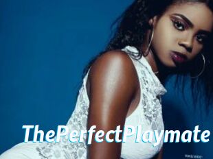 ThePerfectPlaymate