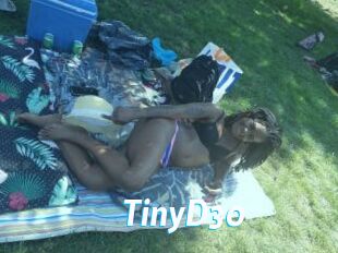 TinyD30
