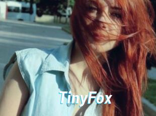 TinyFox