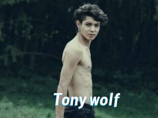 Tony_wolf