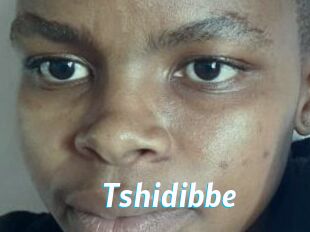 Tshidibbe