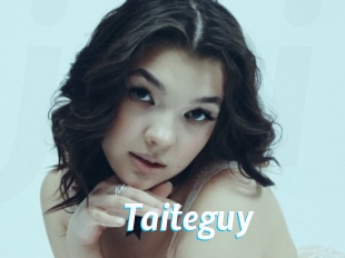 Taiteguy