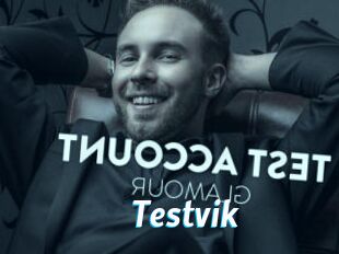 Testvik