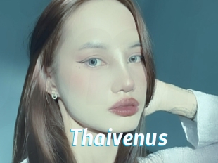 Thaivenus