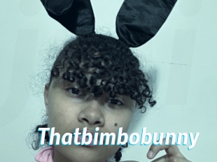 Thatbimbobunny