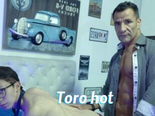 Toro_hot