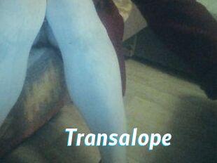 Transalope