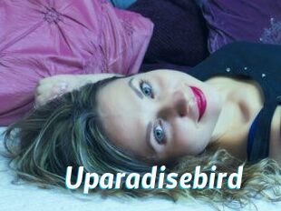 uparadisebird J Mine