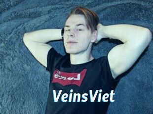 VeinsViet