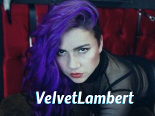 VelvetLambert