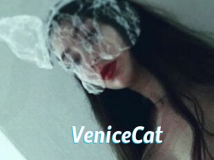 VeniceCat