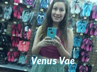 Venus_Vae