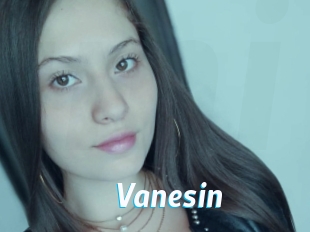 vanesin J Mine
