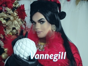 Vannegill