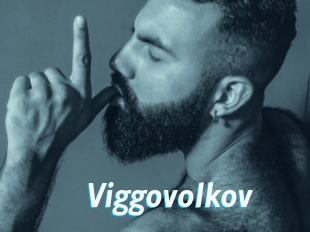 Viggovolkov