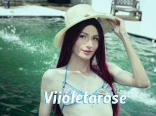 Viioletarose