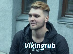 Vikingrub