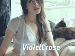 Violett_rose