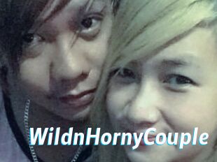 WildnHornyCouple