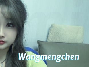 wangmengchen J Mine