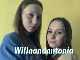 Willaandantonia