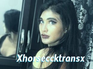 Xhorseccktransx