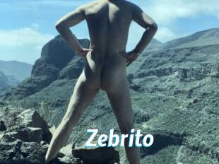 Zebrito