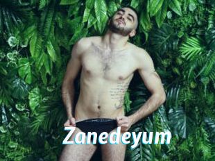 Zanedeyum