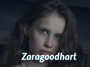 Zaragoodhart