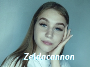 Zeldacannon