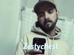 Zestychest